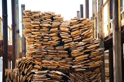 数据大揭秘:木材加工行业的未来在何方?